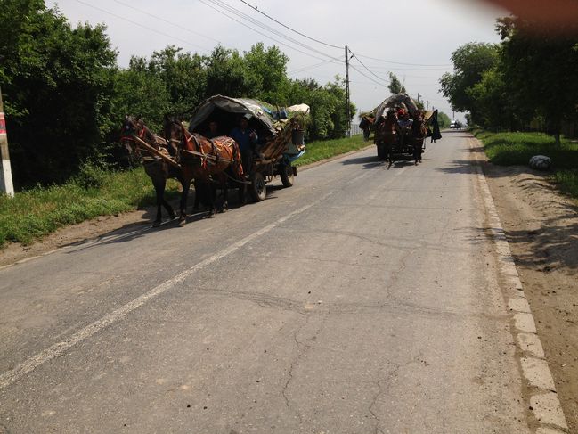 Gypsies in Viisoara, Romania preparing to run over Paul for taking picture
