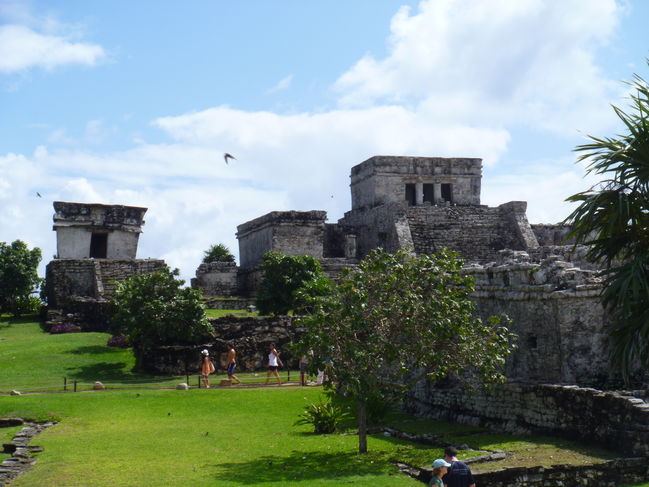 P1000081.JPG