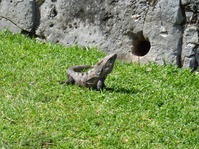 P1000090.JPG
