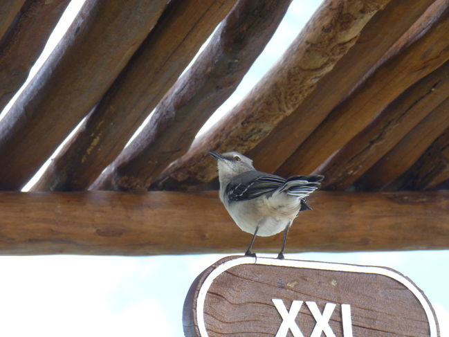 P1000143.JPG