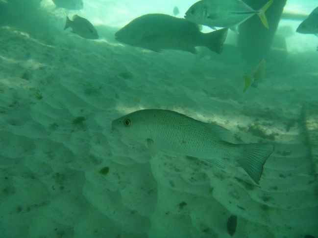 P1000153.JPG