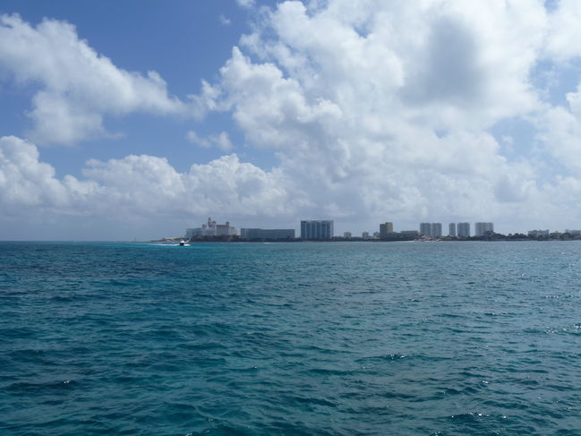P1000243.JPG