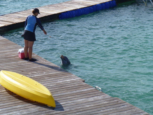 P1000261.JPG