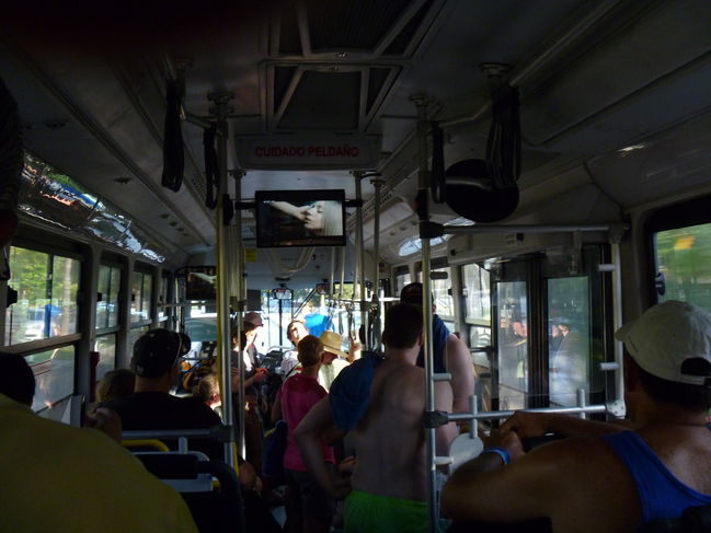 P1000267.JPG