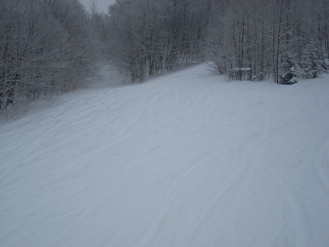 DSCN0977.JPG