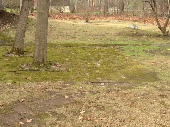 WakefieldWalk_023.JPG