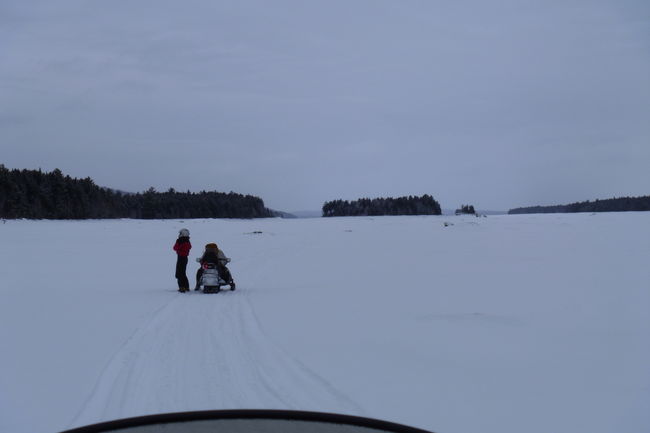 C_P1010022_28229.JPG