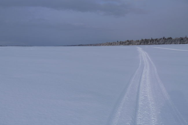 M_P1010047_28129.JPG
