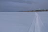 Filename=M_P1010047_28129.JPG
Filesize=4217KiB
Dimensions=4320x2880
Date added=Feb 18, 2013 M_P1010047_28129.JPG