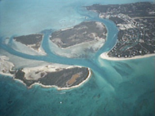 iguana islandflyover.jpg
