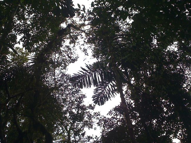 costarica 005.jpg