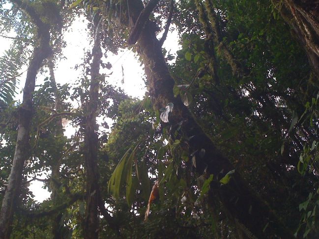 costarica 034.jpg