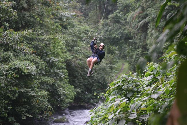 zipline12.JPG
