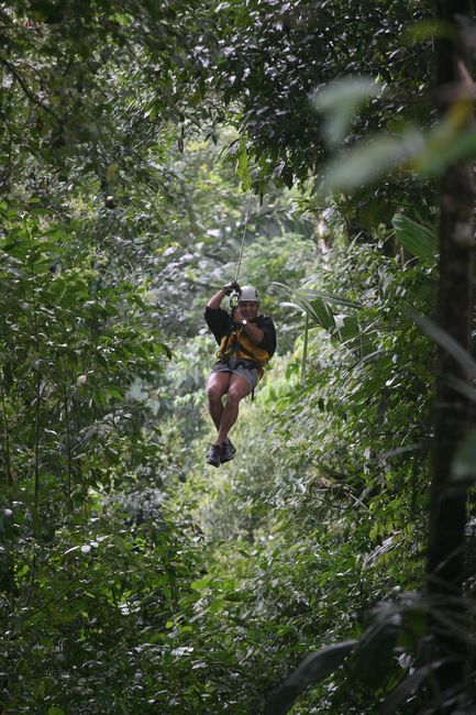zipline2.JPG