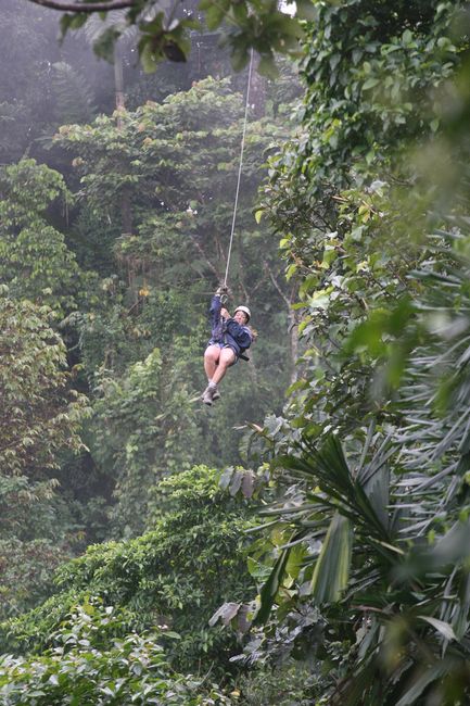 zipline5.JPG