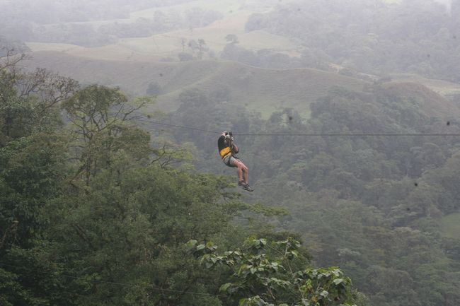 zipline6.JPG