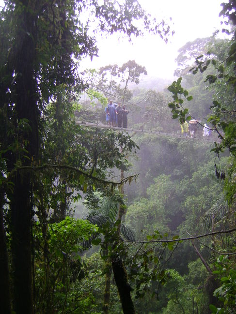 DSC01784.JPG