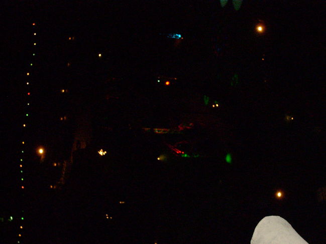 DSCN0897.JPG