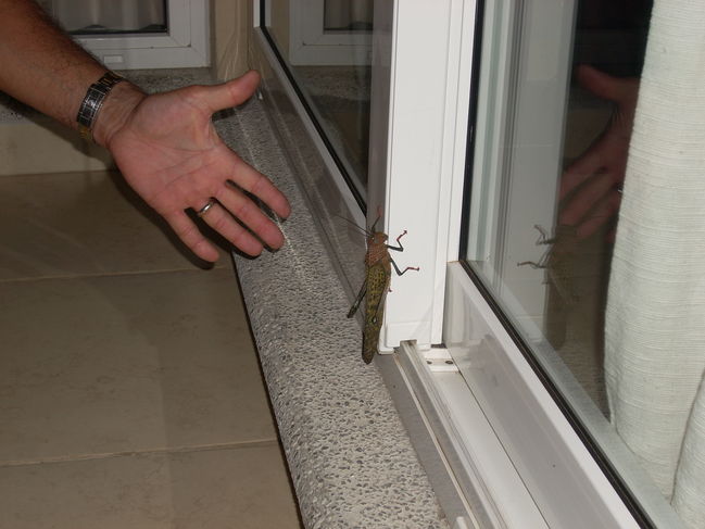 DSCN0900.JPG