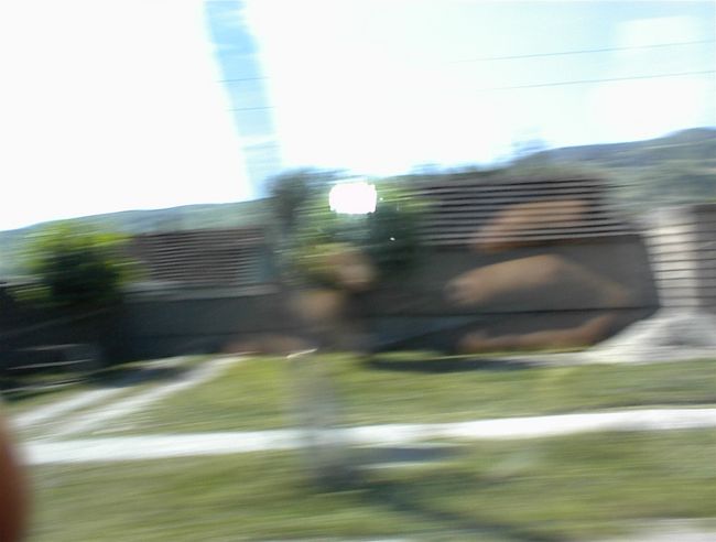 DSC00075.jpg