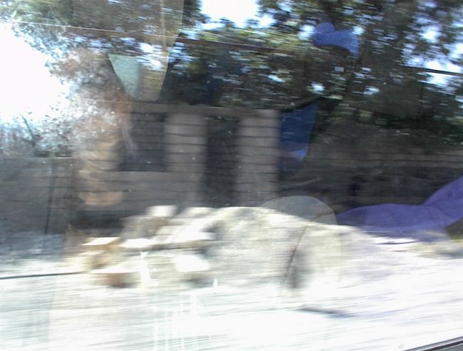 DSC00079.jpg