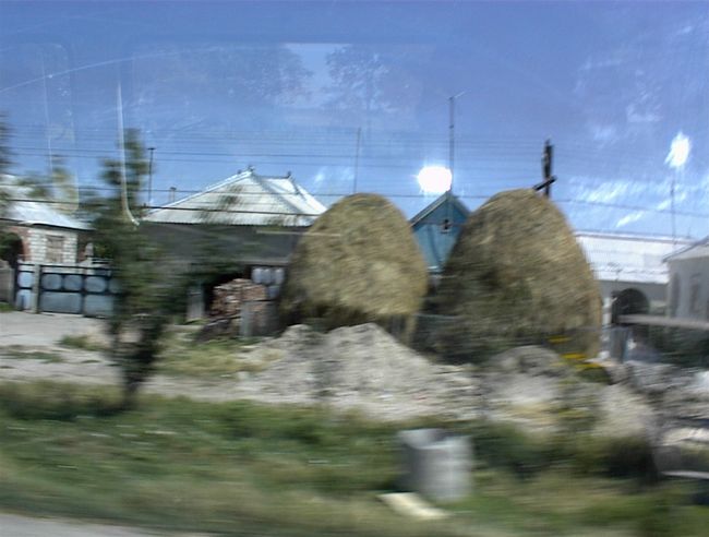 DSC00081.jpg