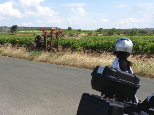 Between Carcassone and Lagrasse
