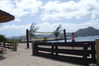 P1020769.JPG