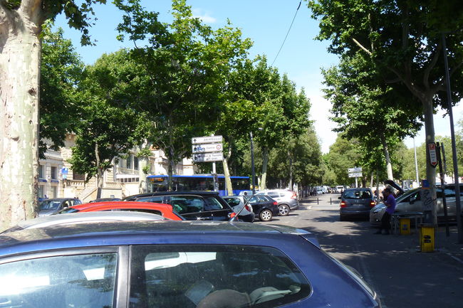 P1020256.JPG