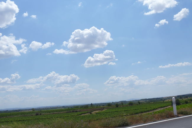 P1020293.JPG