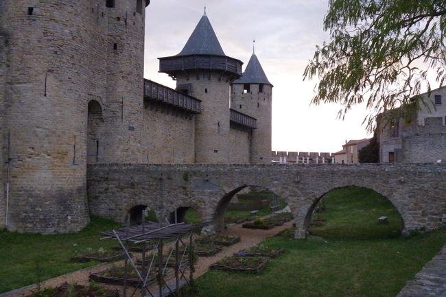 P1020316.JPG