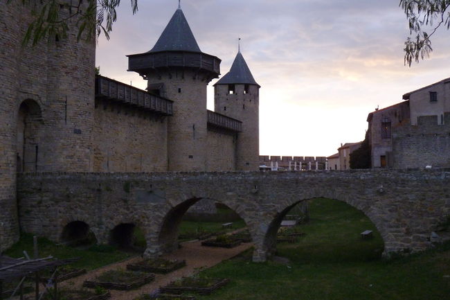 P1020319.JPG
