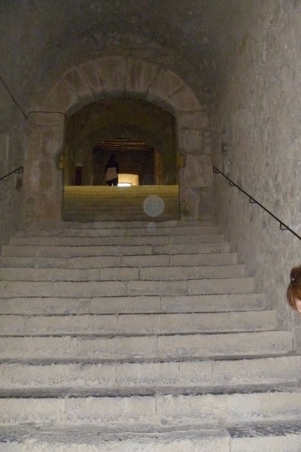 P1020338.JPG