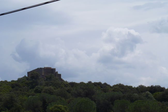 P1020346.JPG