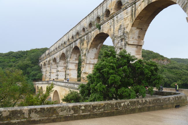 P1020356.JPG