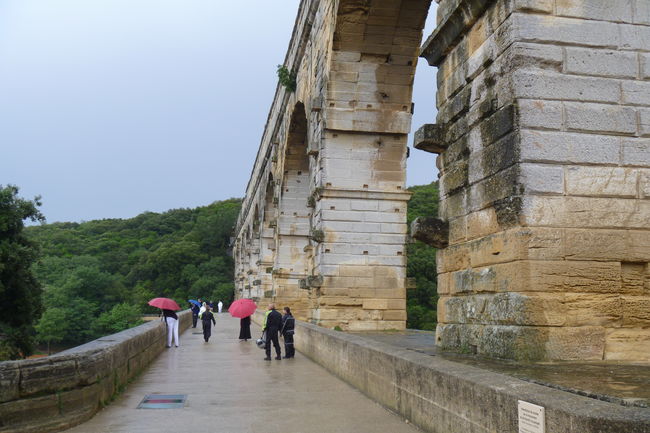 P1020357.JPG