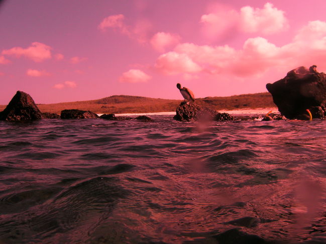PICT0035.JPG