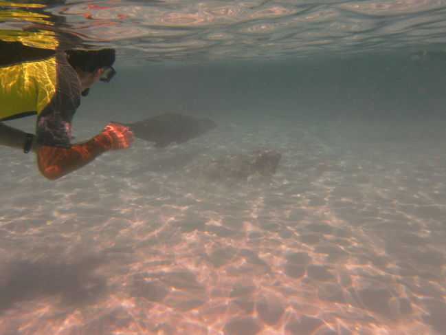PICT0040.JPG