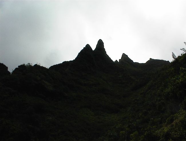 DSC00006.JPG