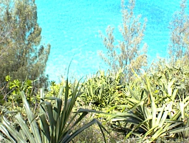 DSC00009.JPG