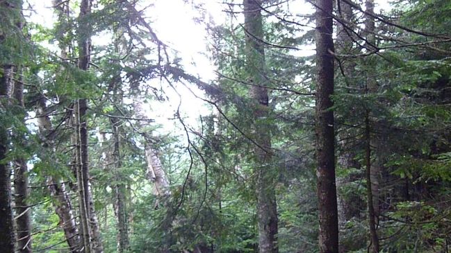 P1000719.JPG