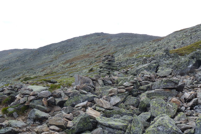 P1010151.JPG