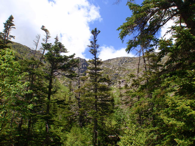 P6150152.JPG