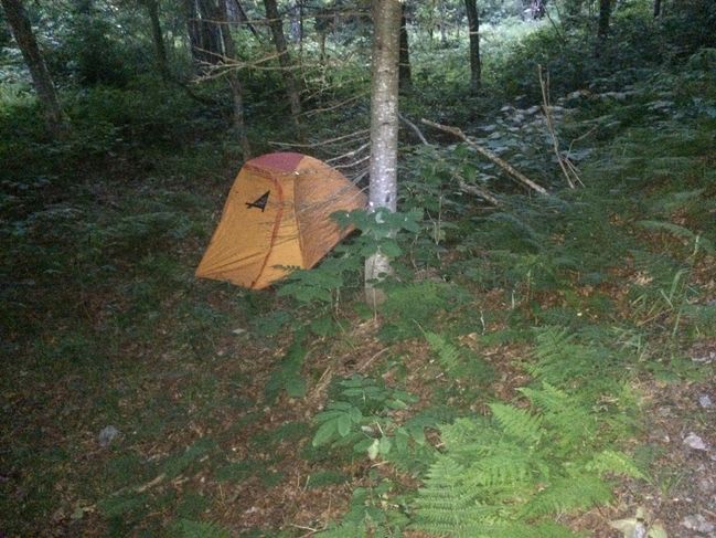 B_LongTrail_282929.JPG
