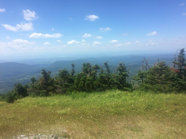 B_LongTrail_283829.JPG