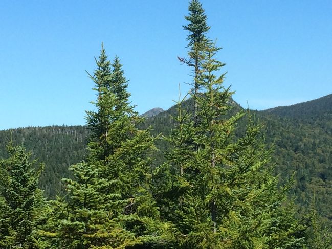 Camel's Hump in distance
