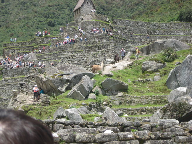 peru_A 142.jpg