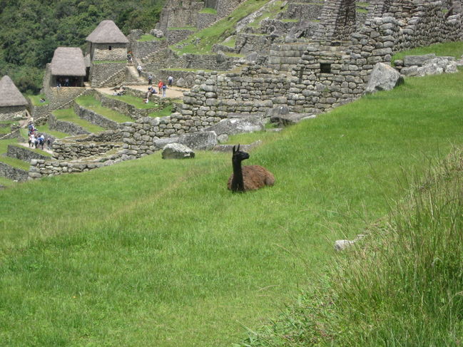 peru_A 145.jpg