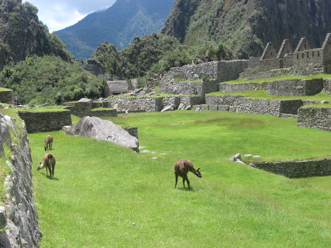 peru_A 146.jpg