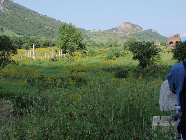 Ephesus 042.jpg